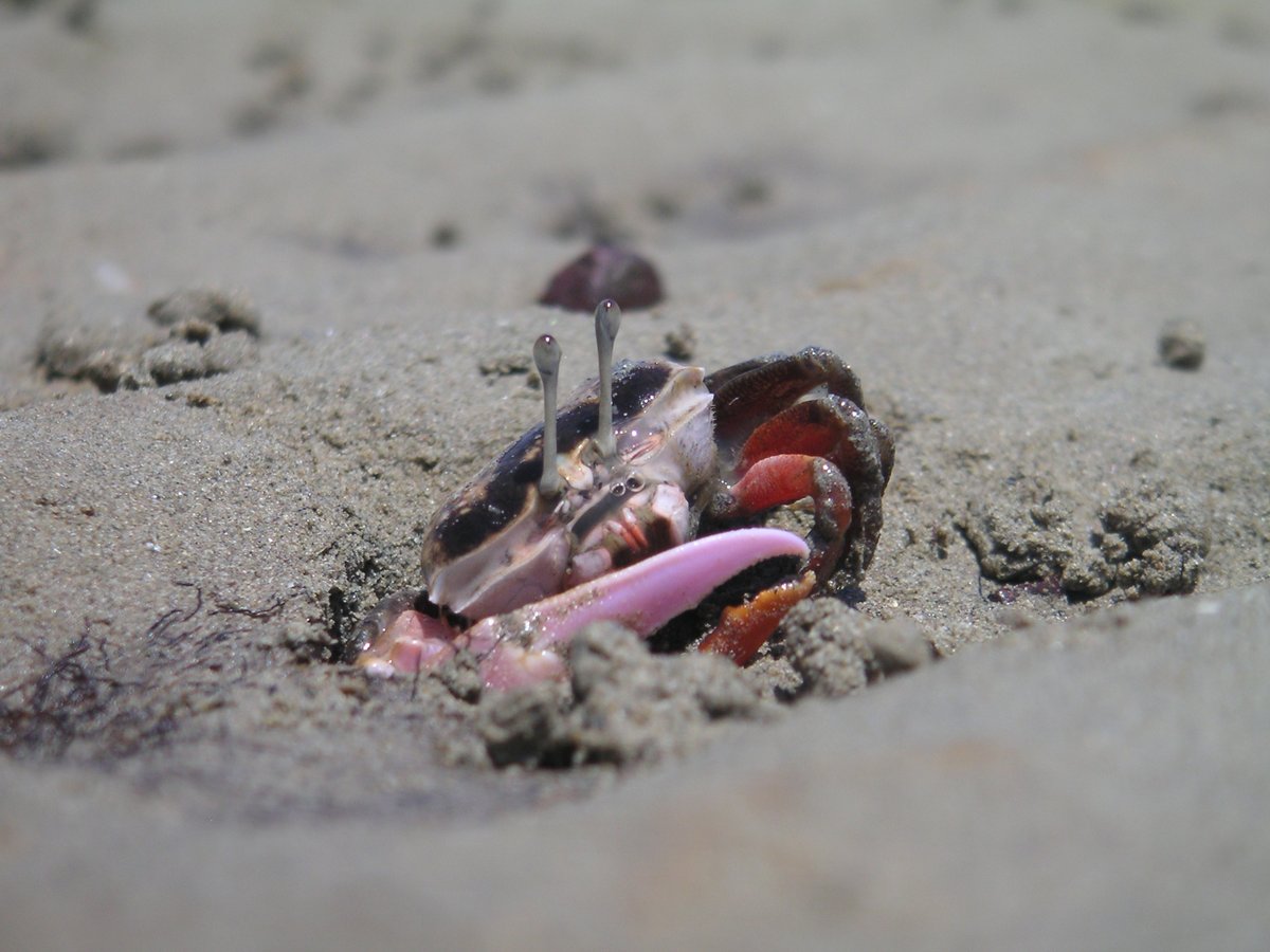 Dr Martin John How tweet media