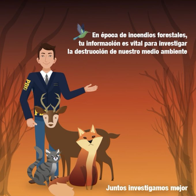 PDI_BIOBIO's tweet photo. Declaración Voluntaria de Ingreso Clandestino:
Para realizar este trámite visita https://t.co/f3VjHvlTpS
No olvides:
- Rellenar el formulario solo una vez.
- Recibirás tu cita por correo electrónico. Sé puntual.
#MigracionesPDI
#PDIVirtual https://t.co/0AuIrDNcPS