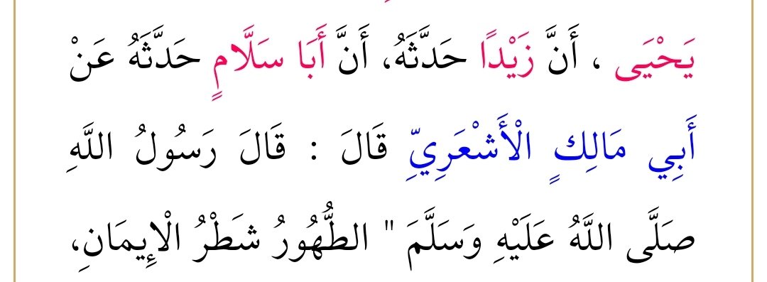 Ebu Mâlik el Eşari' den naklediliyor: Rasûlullah sallallahu aleyhi ve sellem şöyle buyurdu: "TEMİZLİK  İMANIN  YARISIDIR"