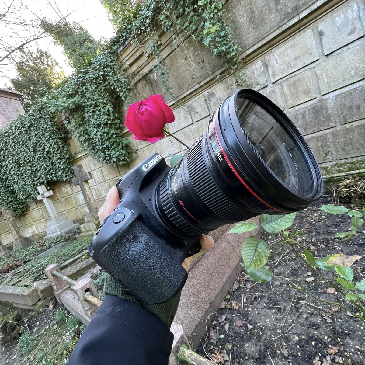 AHScanning's tweet photo. We’ve turned our passions into work that we love. From the smallest artefacts to the biggest buildings, we enjoy working on a diverse range of projects to help preserve #heritage.

Got a project you’d love to talk to us about? https://t.co/rFAIaS4aqI

#HappyValentinesDay https://t.co/gmA98UlDk9