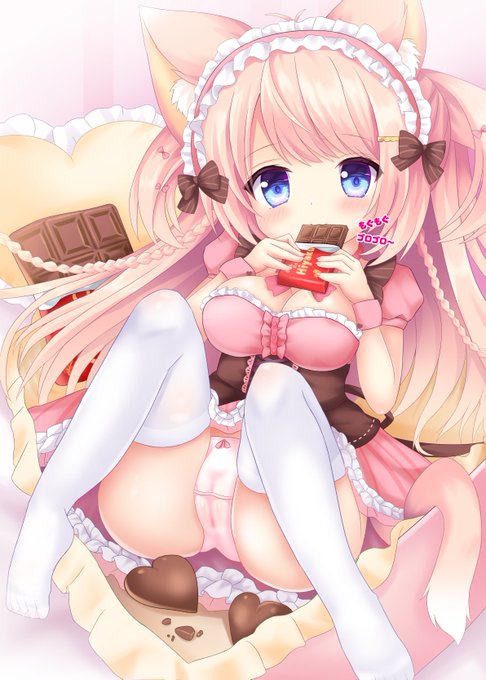 もらったバレンタインチョコレート全部こももちゃんに盗まれちゃったฅ•ω•ฅ
#おひるねショコラ
#バレンタインデー 