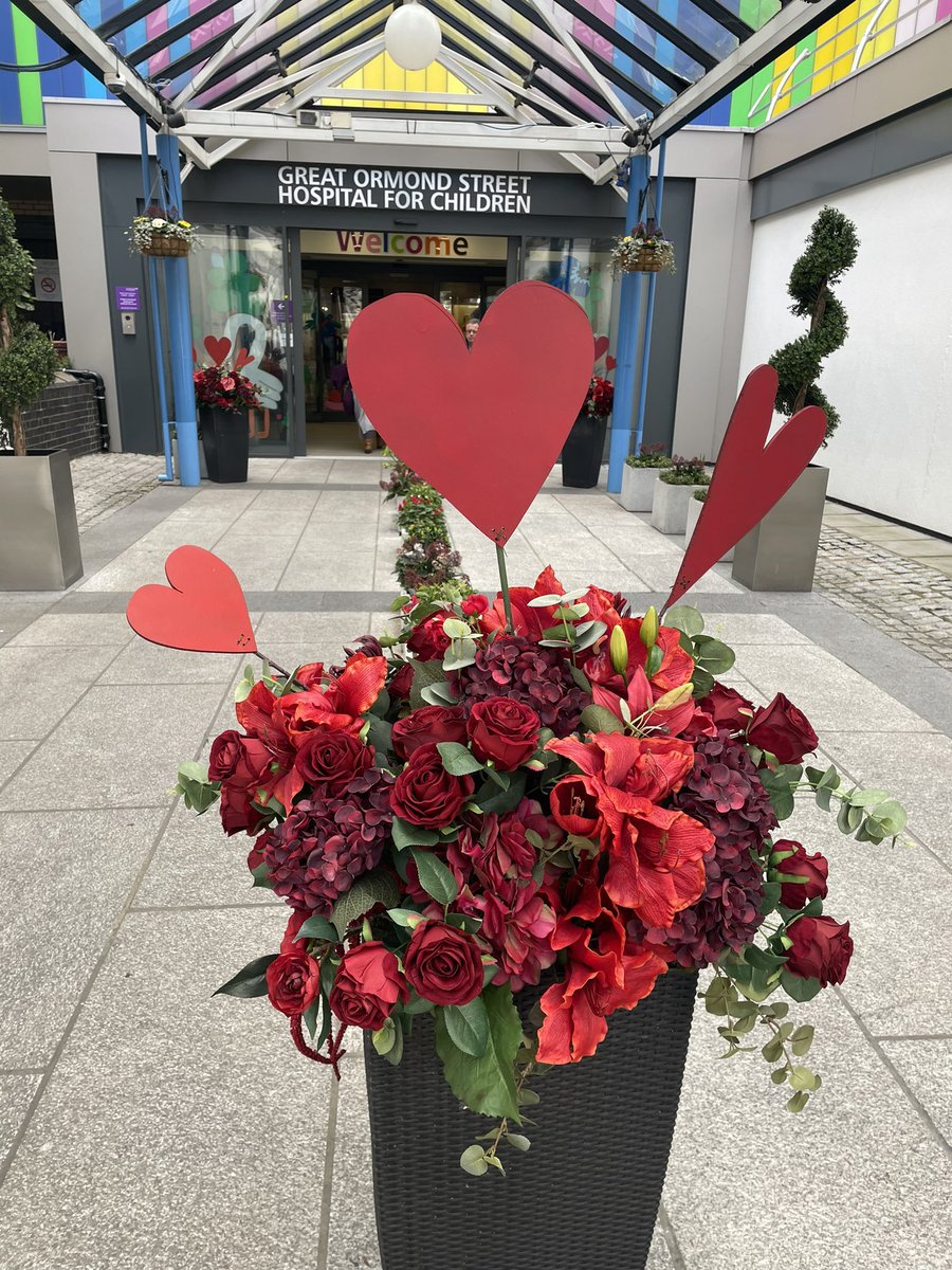 GoshRenal tweet media