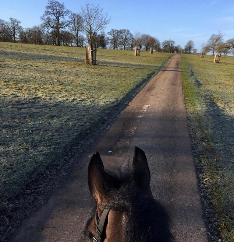 What a way to inspect the site-build! Did you catch Jane Tuckwell's latest Director's blog? Find out how the event prep for this year's #BadmintonHorseTrials is going here 👇 bit.ly/DirectorsBlogF…