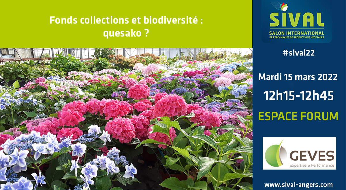 quotidiensival's tweet photo. 🎤🥒🍎🌱🌸🍇[forum #Sival22] Le @GEVESGip  évoquera la #biodiversité lors de son forum :
"Fonds collections et biodiversité : quesako?"

📅 mardi 15 mars 12h15-12h45
📍 Espace forum - Sival 2022

👉 https://t.co/ilNLTMvaYd
#végétal cc @SIVAL_ANGERS https://t.co/53ox6549uv