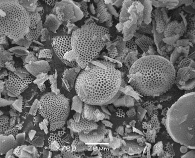 Savannah Worne (@savworne) on Twitter photo Excited to announce the publication of our new research! Using #diatom silicon #isotopes and assemblages, we assessed silicic acid cycling in the Bering Sea and its significance for global carbon cycling 🔬👩🔬 <a href="/BritGeoSurvey/">British Geological Survey</a> <a href="/UoNGeography/">Nottingham Geography</a> <a href="/TMS_silico/">TMS Silicofossil</a>
agupubs.onlinelibrary.wiley.com/doi/full/10.10… Excited to announce the publication of our new research! Using #diatom silicon #isotopes and assemblages, we assessed silicic acid cycling in the Bering Sea and its significance for global carbon cycling 🔬👩🔬 <a href="/BritGeoSurvey/">British Geological Survey</a> <a href="/UoNGeography/">Nottingham Geography</a> <a href="/TMS_silico/">TMS Silicofossil</a>
agupubs.onlinelibrary.wiley.com/doi/full/10.10…