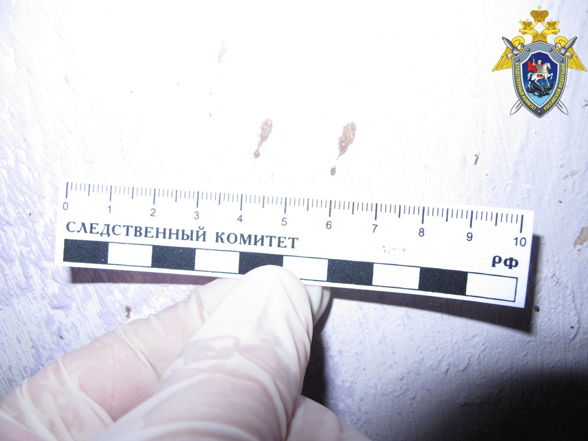 СУ СКР Самара tweet media