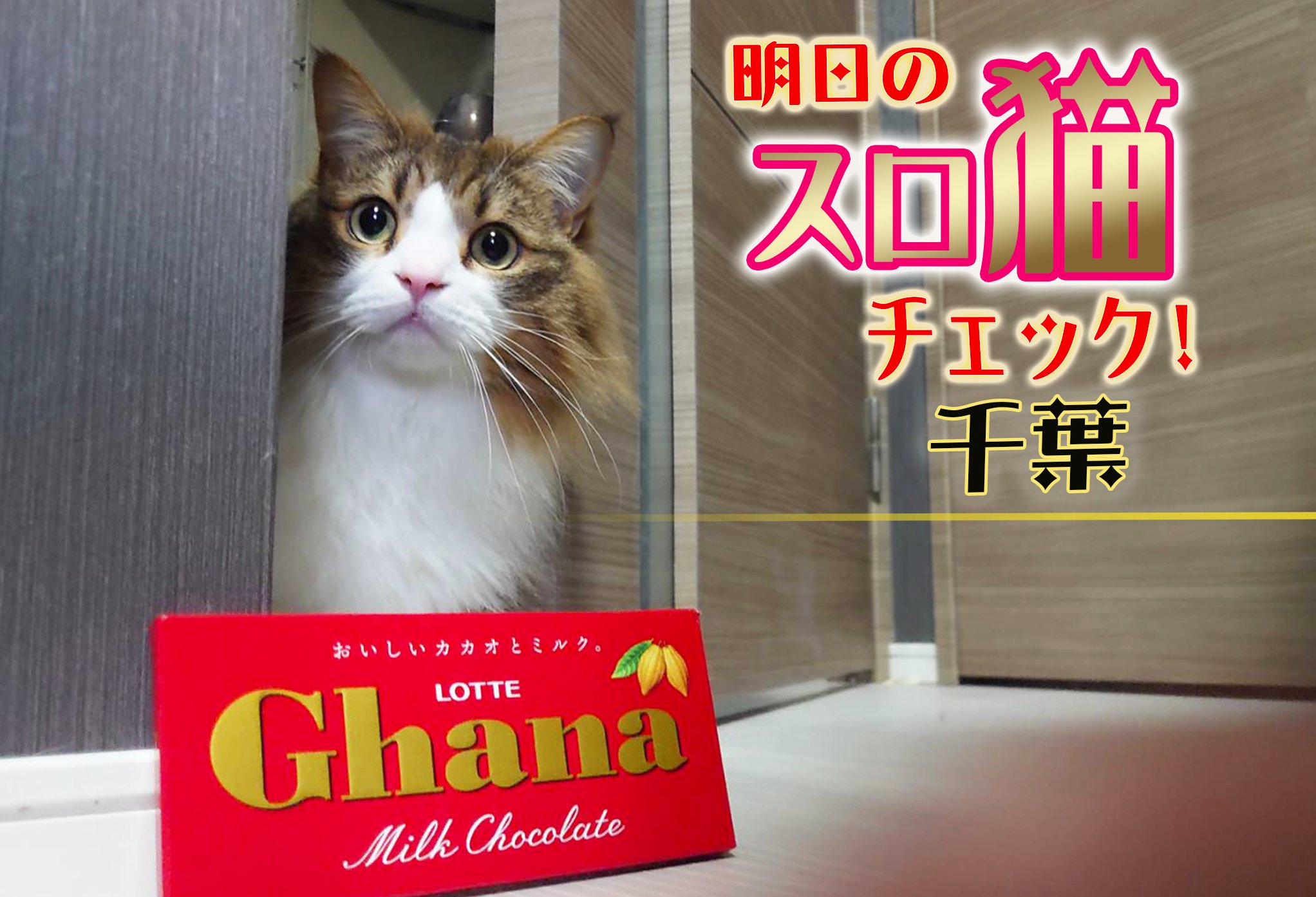 スロ猫 千葉 スロパチ結 マルハン習志野 カチ盛りドリーム マルハン習志野 ニュー後楽園jr千葉西口 Gpl ニュー後楽園jr千葉西口 満台が見たい ルーキー Narabu Legend やすだ幕張 Narabu無双 ニュー後楽園市川 T Co スロ猫 千葉 スロパチ結 マルハン習志野 カチ盛りドリーム マルハン習志野 ニュー後楽園jr千葉西口 Gpl ニュー後楽園jr千葉西口 満台が見たい ルーキー Narabu Legend やすだ幕張 Narabu無双 ニュー後楽園市川 T Co