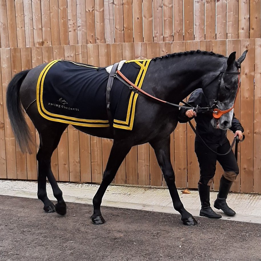 Good news for #HorseRacing fans over the weekend: our patron <a href="/CharlotteHawkns/">Charlotte Hawkins</a> &amp; her <a href="/itvracing/">ITV Racing</a> colleagues won Sports Programme of the Year at <a href="/broadcastnow/">Broadcastnow</a> awards...and members of the <a href="/BurrowSeven/">burrowseven</a> racing club will be able to follow this beauty ⬇️at <a href="/WetherbyRaces/">Wetherby Racecourse</a> on Wednesday🏇