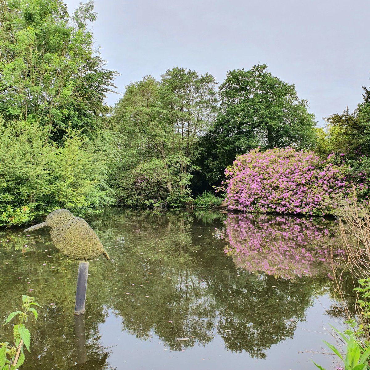 GemWilk's tweet photo. @StaffsWildlife We adore Wolseley here ❤ https://t.co/LOM27gnyg7