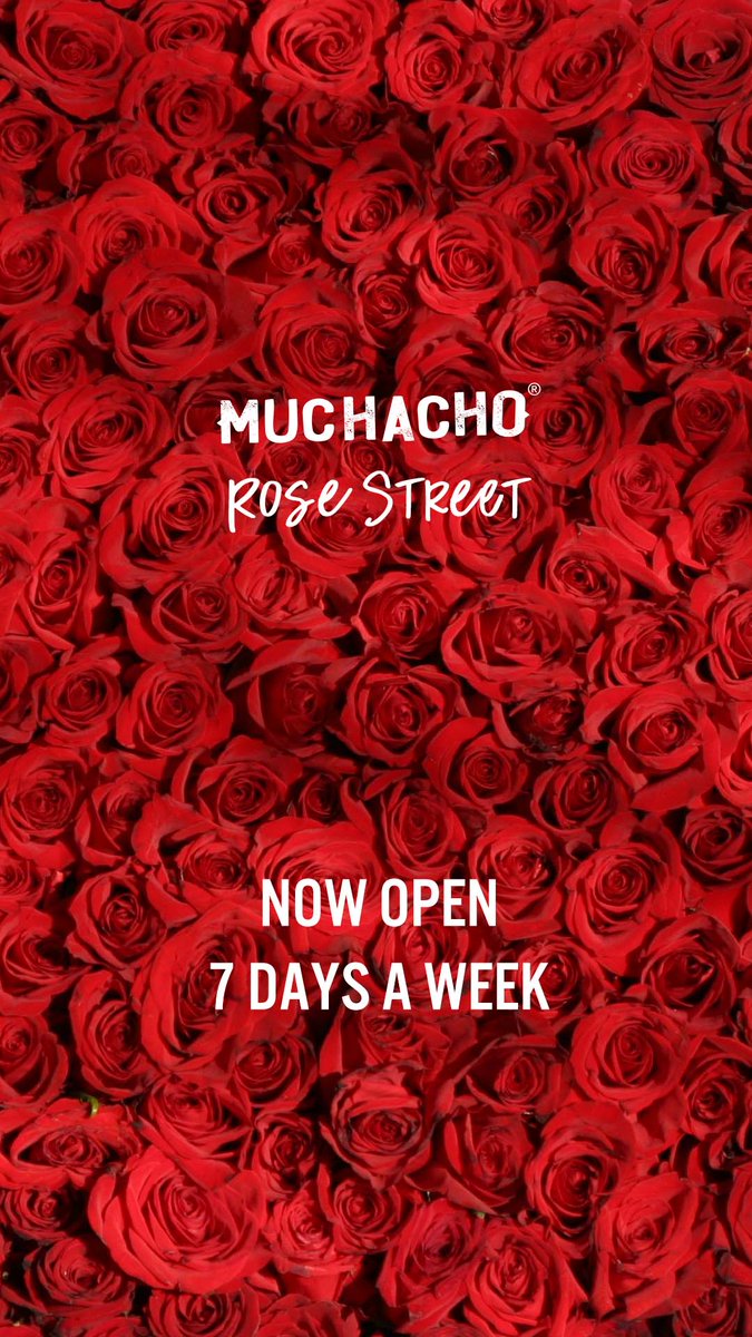 Muchacho HQ (@muchachohq) on Twitter photo 