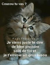 Brigitte Montgrenier tweet media