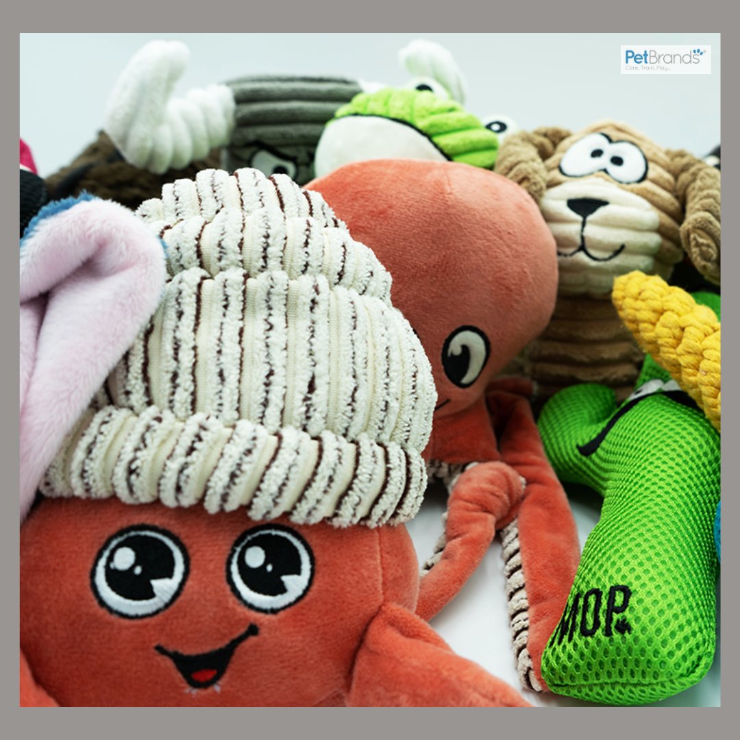 Happy Valentines Day Pet Lovers!

Show your pets you love them with our fun Ministry Of Pets range - available at all good retailers!

#PetBrands #Pets #ValentinesDay