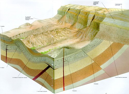 Слой покрывающий легкие. Мульда синклинали. Грабен-мульда. Стратиграфия Западно сибирской плиты. Урал горы тектоника.