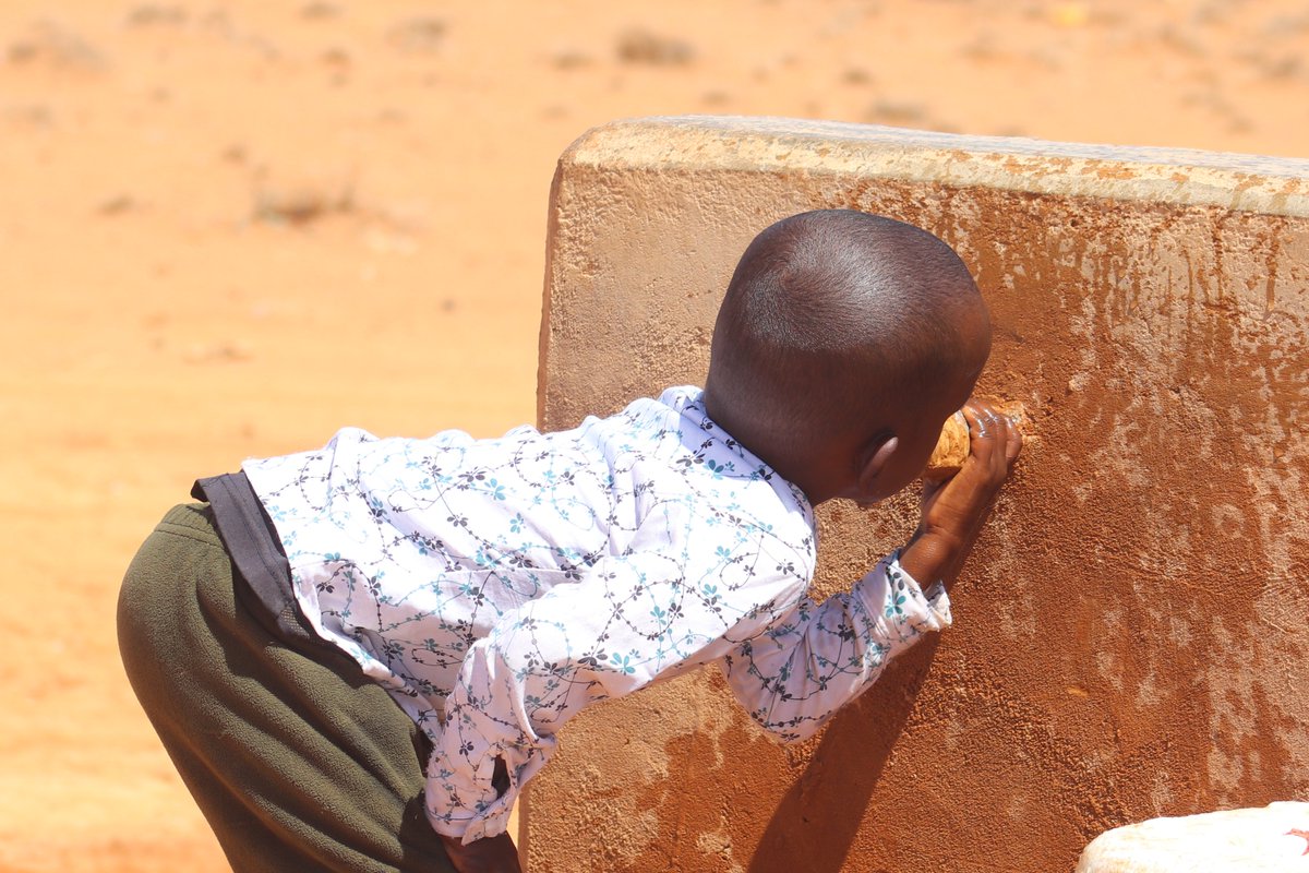 TaakuloSomali's tweet photo. Droughts conditions are worsening day by day forcing people to lose their lives &amp; displace from their homes. With your support, we can stop avoidable suffering of
women and children are in the verge of famine. @OCHASom @WFPSomalia @PlanGlobal @UNSomalia  @UNDPSomalia @IOM_Somalia https://t.co/WTGptBCHuU