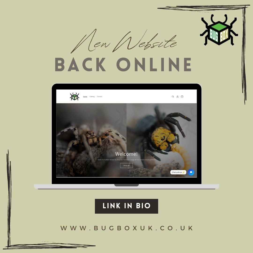 Bugboxuk's tweet image. We’ve done a little website revamp; Not only have we made the website easier to navigate, but we’ve also added in new perks! 

Our email systems are still down, if you need to contact us please message us on our Facebook Page

Please bare with us whilst we try to fix things  💚