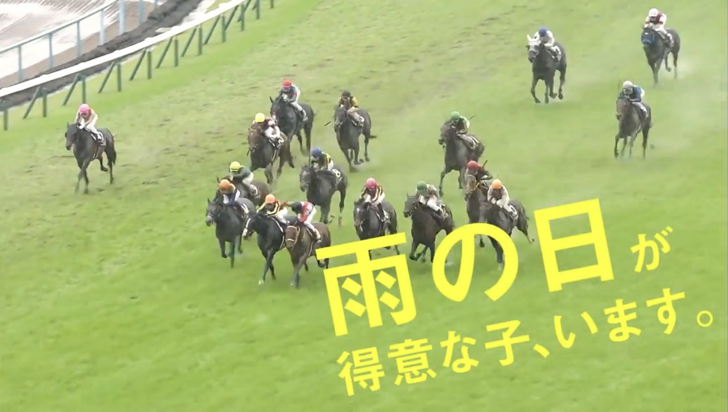 ボルスタレス ライスヤマー どうした Jra公式 カッコいいcmを作るの飽きたからちょっとふざけだしたか笑 最後にキセキをチョイスするあたり個人的に嬉しかった T Co Qxgrgyzo8k Twitter