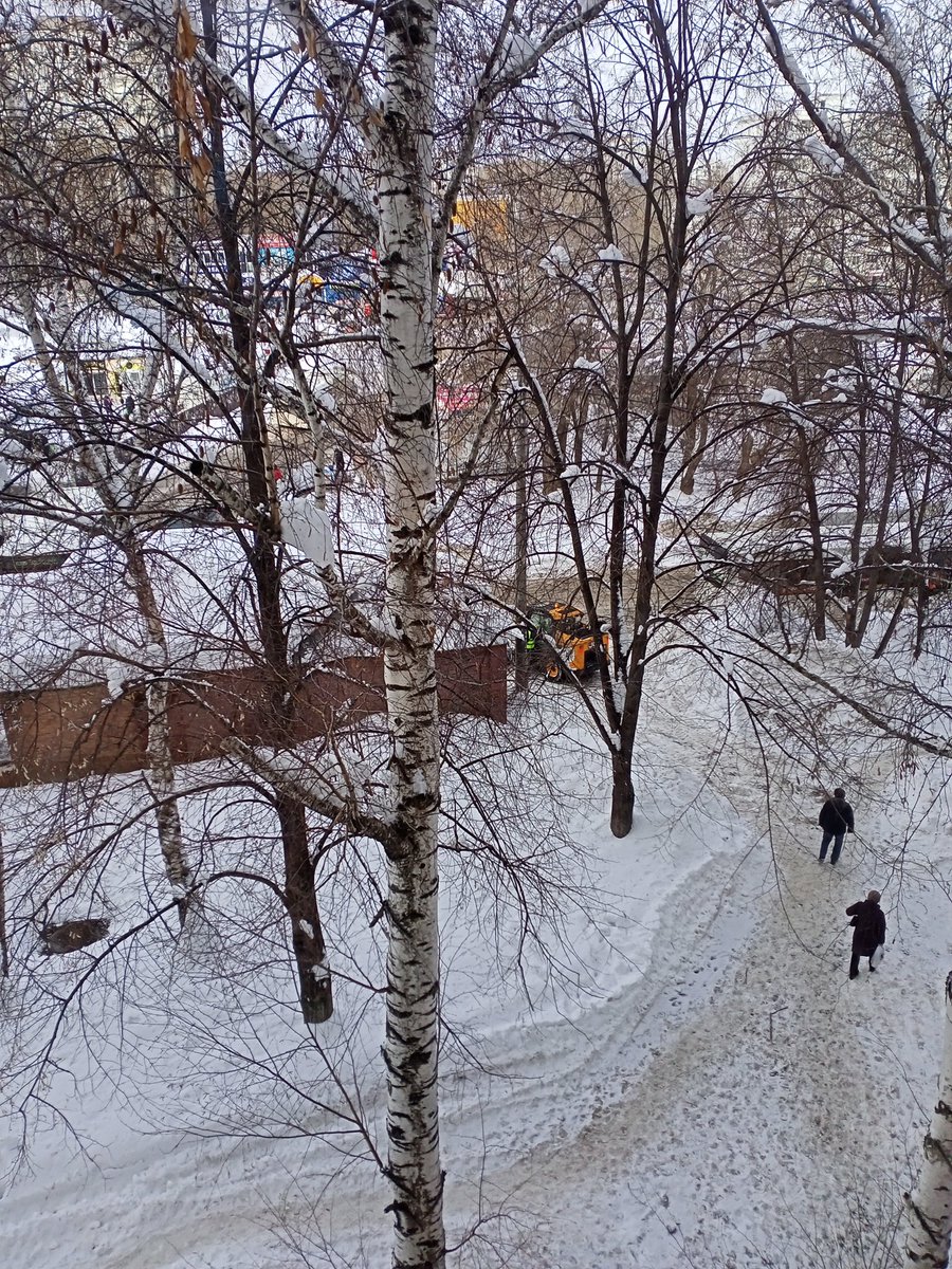 Светлана Лусис tweet media