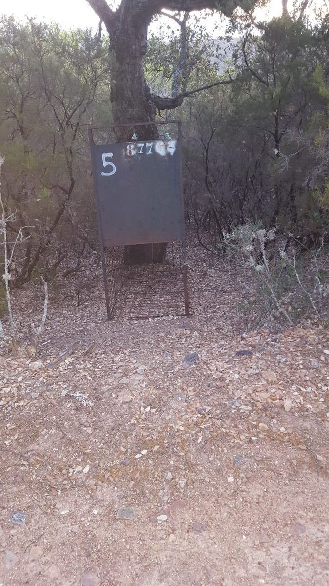 PacoCastanares's tweet photo. MONFRAGÜE, CONVERTIDO EN UN CAMPO DE EXTERMINIO

La Junta de Extremadura ha reconocido ya que tiene 50 jaulas trampa distribuidas por sus fincas en el interior del Parque Nacional de Monfragüe. https://t.co/w1EU6Y9SFP