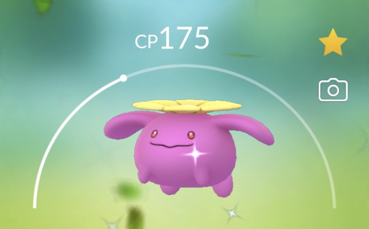 ポポッコ Twitter Search Twitter