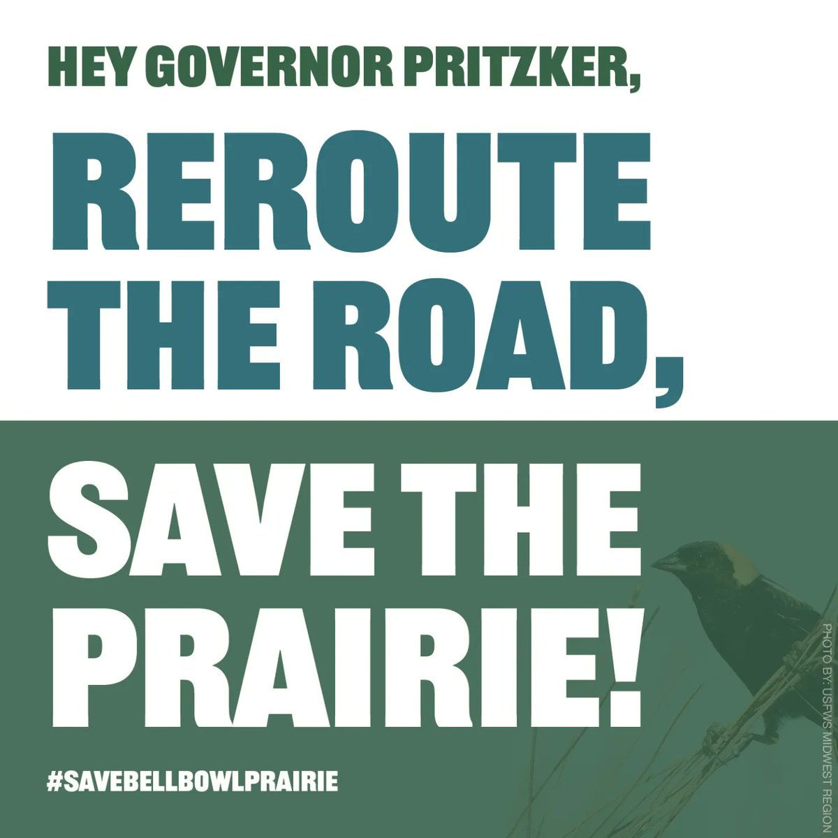 BellBowlPrairie's tweet image. 📣 Hey Governor Pritzker, reroute the road, save the prairie❗

Call 312-814-2121 to tell the nice office staff you support Illinois nature &amp;amp; Gov. Pritzker needs to take action.

Bell Bowl Prairie must be PERMANENTLY protected as an Illinois Nature Preserve.

#SaveBellBowlPrairie