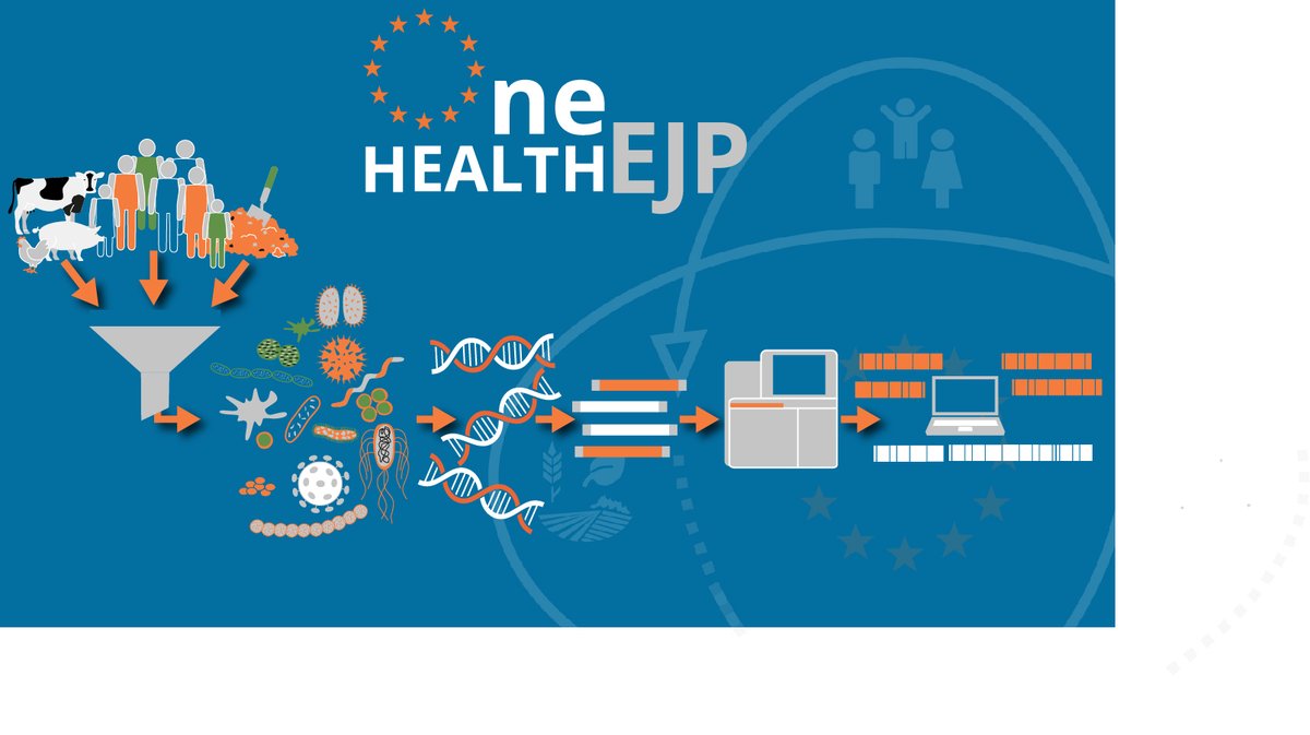 OneHealthEJP's tweet photo. The #OHEJP #METASTAVA #researchproject developed:
1οΈβ£ A set of #reference #datasets for #modelpathogens, representing common #sampletypes
2οΈβ£ Harmonised #metagenomics #methods and #guidelines for use in #diagnostics
Read more in their project #brochure
π https://t.co/mRXPcGdGAq https://t.co/E2SiuYmEwl