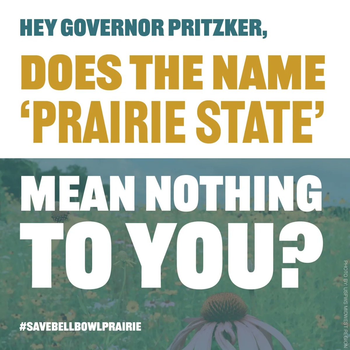 BellBowlPrairie's tweet image. 📣 Hey Governor Pritzker, reroute the road, save the prairie❗

Call 312-814-2121 to tell the nice office staff you support Illinois nature &amp;amp; Gov. Pritzker needs to take action.

Bell Bowl Prairie must be PERMANENTLY protected as an Illinois Nature Preserve.

#SaveBellBowlPrairie