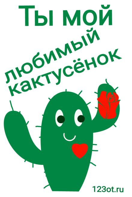 любимый кактус