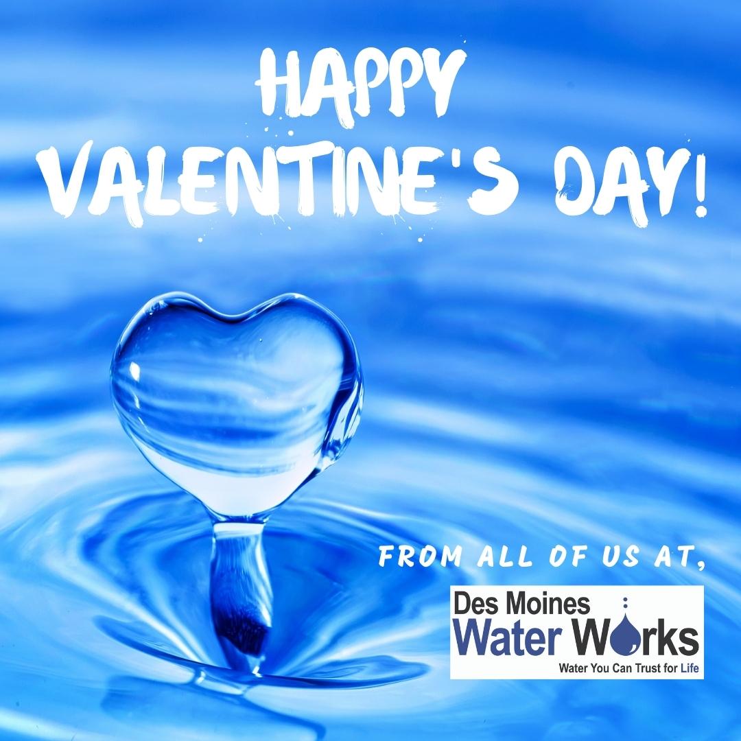 DSMH2O's tweet photo. Water you waiting for? Be our #Valentine! We wish you all a special day filled with lots of hydrating #love potion - that refreshing #dsmh2o! https://t.co/3QtjjR7XGH