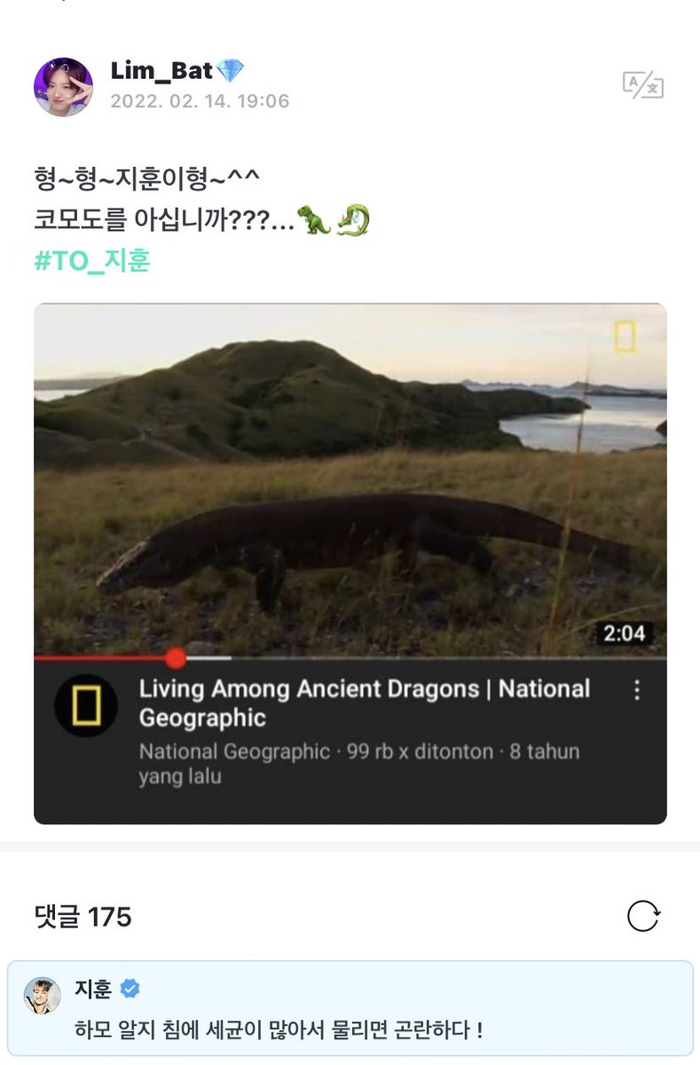 weversetrsr's tweet photo. [treasure weverse] 20220214
#JIHOON reply to a fan post 🌟

👤: hyung~hyung~ jihoonie hyung~^^  do u know komodo ???. 🦖 🐉 

🐼: well yes i know, they have a lot of bateria in their saliva so you'll be trouble if it bites u！

 #지훈 #TREASURE @treasuremembers https://t.co/RW7gmWQVtD