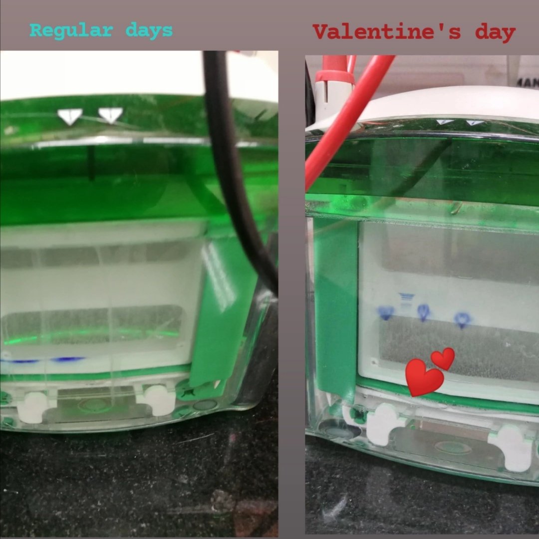 Anumeha Singh (@anumehasingh25) on Twitter photo How biochemists celebrate Valentine's day!!! <a href="/DebrajManna27/">Debraj Manna</a> <a href="/debaleenak8/">Debaleena Kar</a> <a href="/nrakhtar3284/">Noor Akhtar</a> <a href="/GradSkoolStrugs/">Dr. Angry Grad</a> <a href="/AcademicChatter/">Academic Chatter™</a> <a href="/PhDVoice/">PhD Voice - Independently Run</a> How biochemists celebrate Valentine's day!!! <a href="/DebrajManna27/">Debraj Manna</a> <a href="/debaleenak8/">Debaleena Kar</a> <a href="/nrakhtar3284/">Noor Akhtar</a> <a href="/GradSkoolStrugs/">Dr. Angry Grad</a> <a href="/AcademicChatter/">Academic Chatter™</a> <a href="/PhDVoice/">PhD Voice - Independently Run</a>