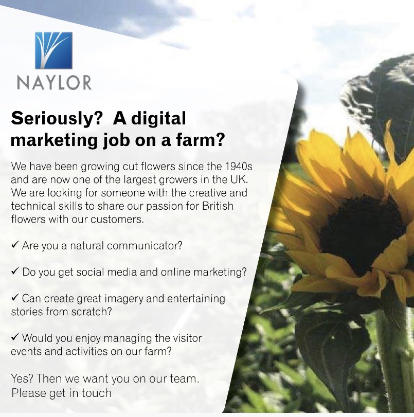 We have an exciting new role in our team for a digital marketing assistant