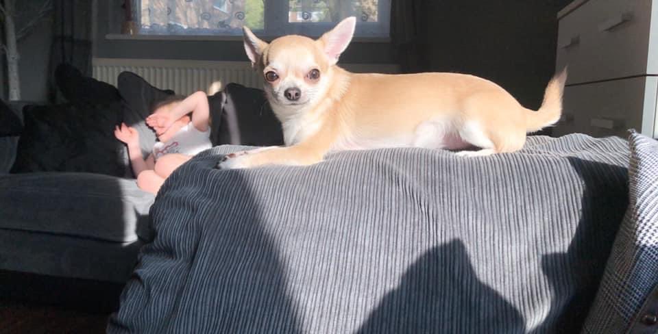 MissTatts tweet media