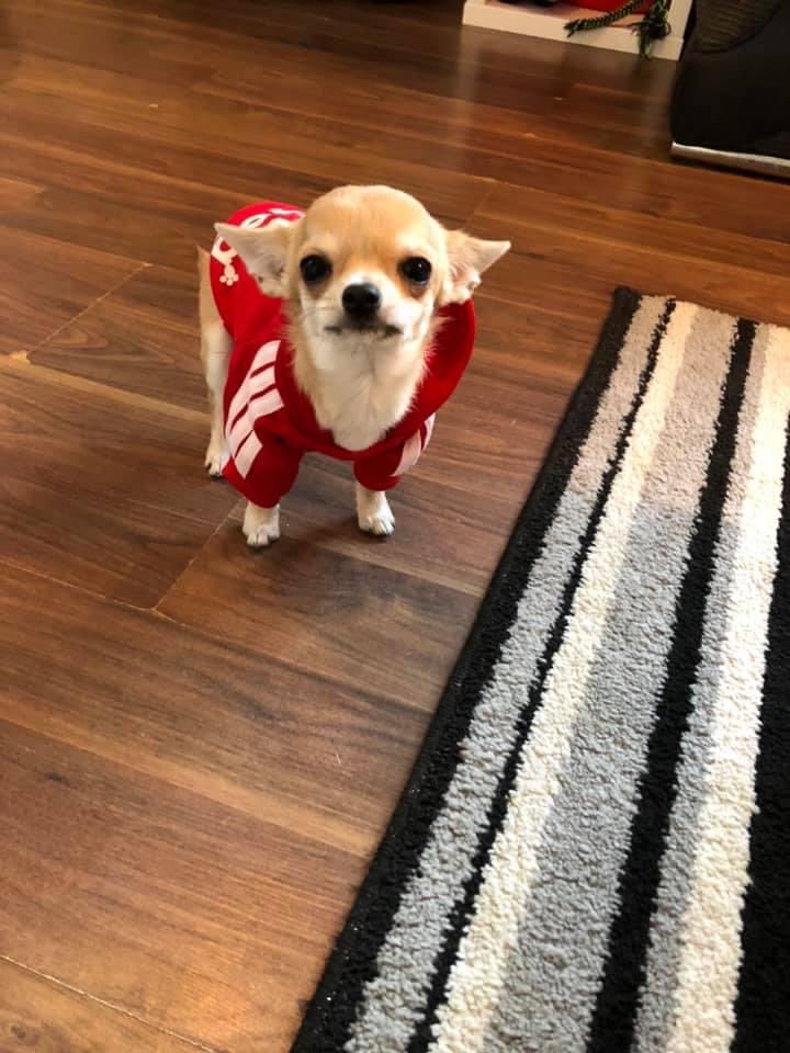 MissTatts tweet media