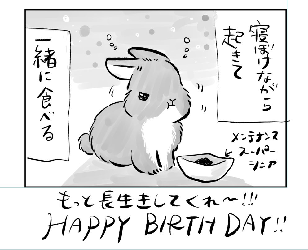 天才うさぎのきんちゃん、本日誕生日!
11歳です!
その知られざる毎日とは。 
