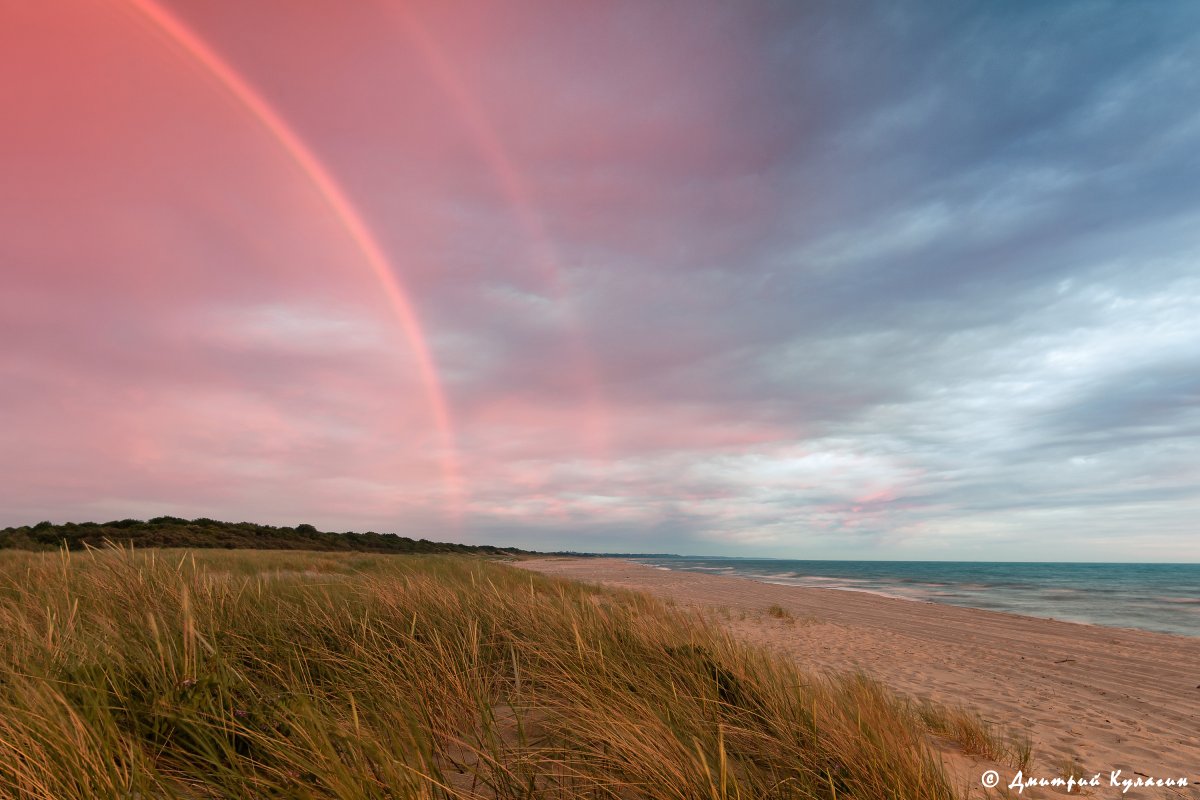 's tweet image. 🏖 The breathtaking #CuronianSpit is a true natural wonder, partly located in Russia's @KaliningradReg. It is a @UNESCO World Heritage site on the Baltic Sea coast that has the highest drifting sand dunes in Europe (up to 60m tall!) and a carefully protected unique ecosystem.