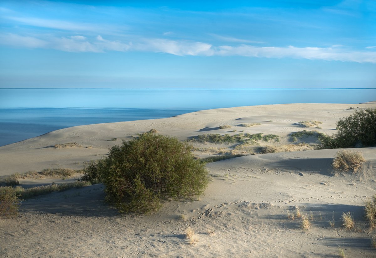 's tweet image. 🏖 The breathtaking #CuronianSpit is a true natural wonder, partly located in Russia's @KaliningradReg. It is a @UNESCO World Heritage site on the Baltic Sea coast that has the highest drifting sand dunes in Europe (up to 60m tall!) and a carefully protected unique ecosystem.