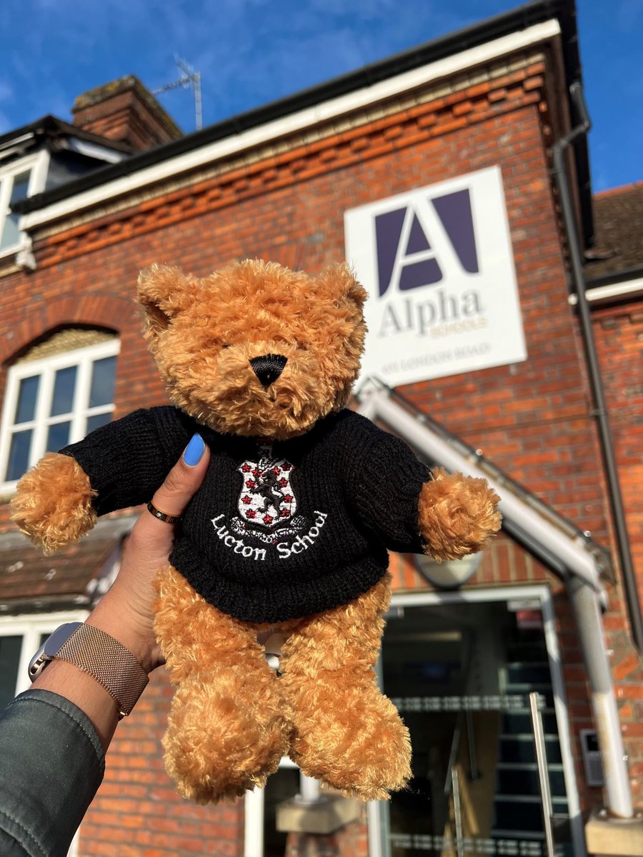 Lucky the Lucton Bear has officially arrived at the Alpha School's Head Office!

Thank you Lucton School for letting us have Lucky here to help look after our schools! Lucky is a great addition to our team.
#AlphaSchools #LuctonSchool #LuckytheLuctonBear