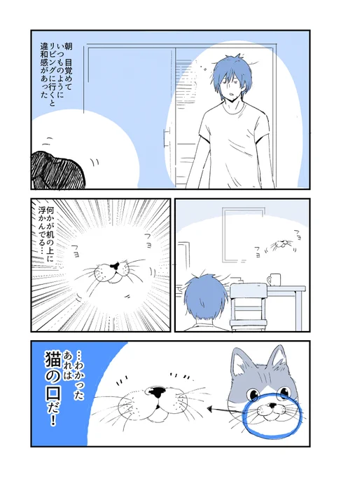 猫の「アレ」だけの霊に遭遇したかもしれない話#人から聞いた不思議な話を漫画にしてみた 