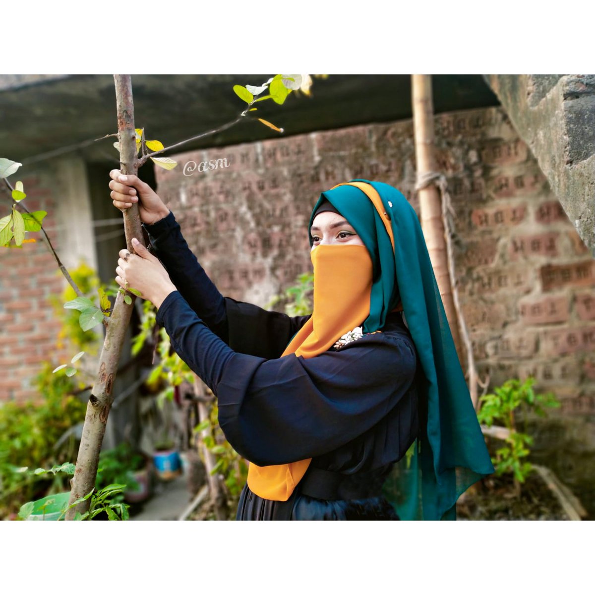 adihry83's tweet photo. বসন্ত এসে গ���ছে💛🌿

#boshonto #falgun https://t.co/28NYMgoWYY