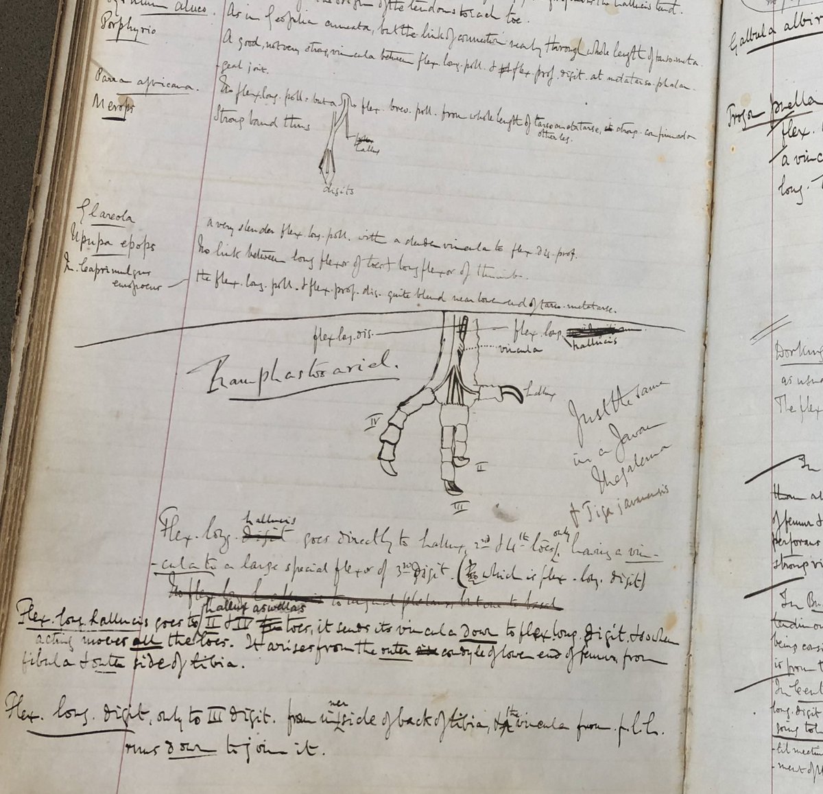 ZSL Library tweet media