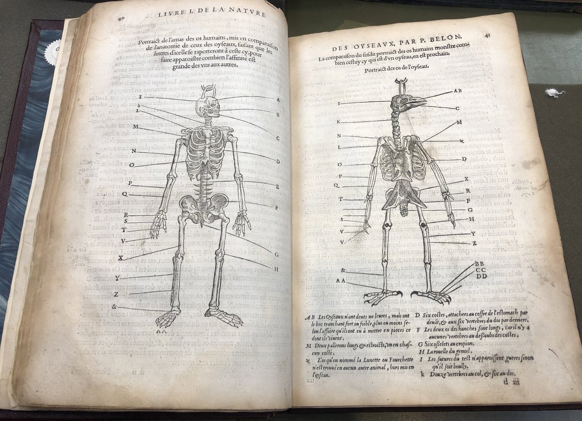 ZSL Library tweet media
