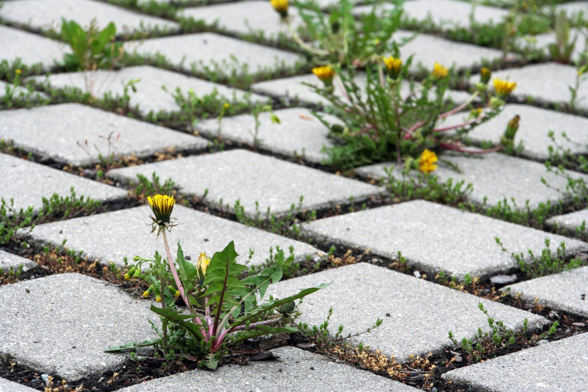 CALL FOR CONTRIBUTIONS! Discuss #sustainabilitytransitions and #LivableFutures at the #IOERconf 2022! We look forward to proposals in German or English: express.converia.de/frontend/index… 
Submissions open now until 31/03/22. 
#cfp #callforpapers