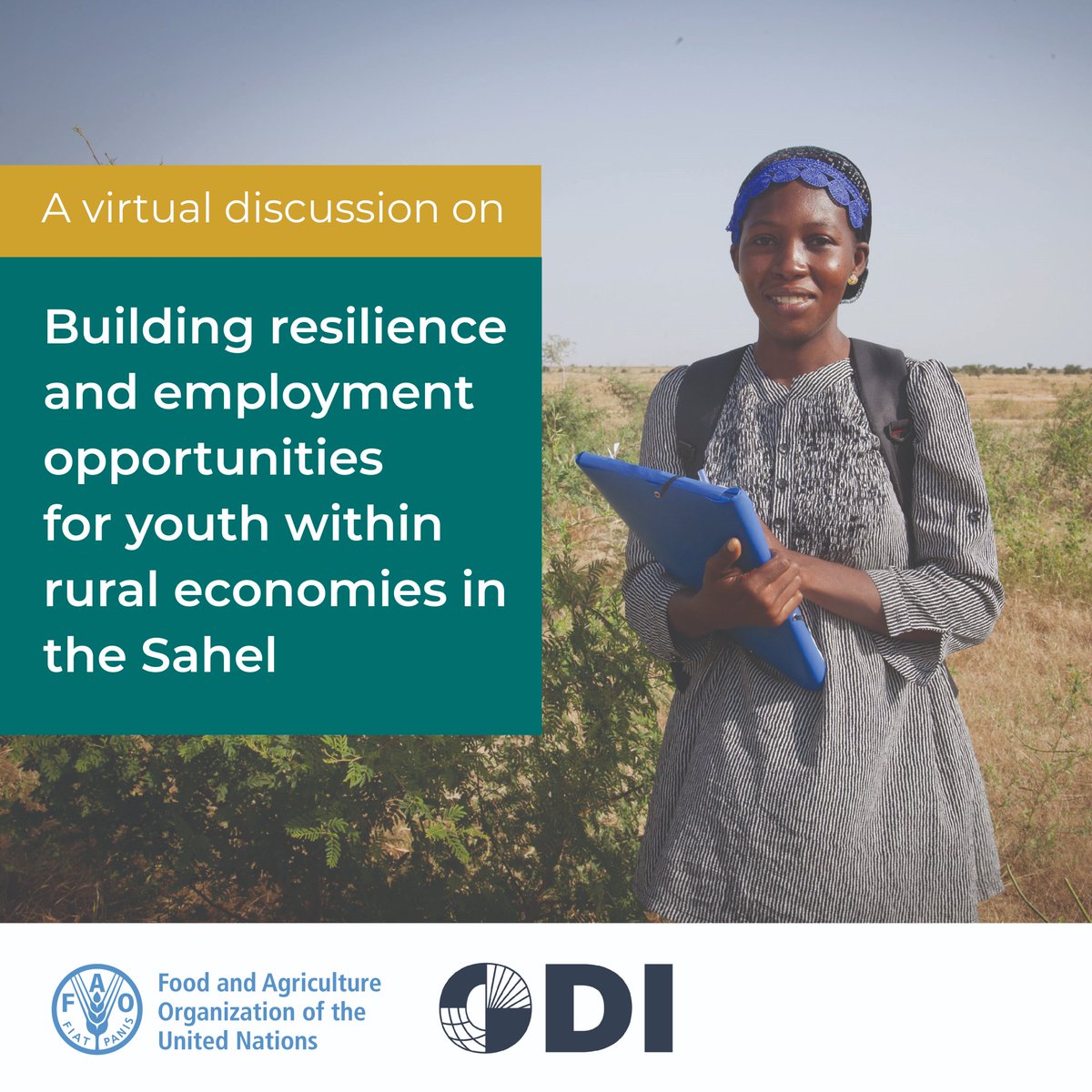 FAO Knowledge (@faoknowledge) on Twitter photo 📢Register now!
<a href="/FAO/">Food and Agriculture Organization</a>-<a href="/ODI_Global/">ODI Global | odi-global.bsky.social</a> will be launching a report on the challenges & opportunities for building resilience in the Sahel Region through job creation for youth
📅17 Feb 2022
🕑14:00 CET
Register👉🏽buff.ly/3okesor 📢Register now!
<a href="/FAO/">Food and Agriculture Organization</a>-<a href="/ODI_Global/">ODI Global | odi-global.bsky.social</a> will be launching a report on the challenges & opportunities for building resilience in the Sahel Region through job creation for youth
📅17 Feb 2022
🕑14:00 CET
Register👉🏽buff.ly/3okesor