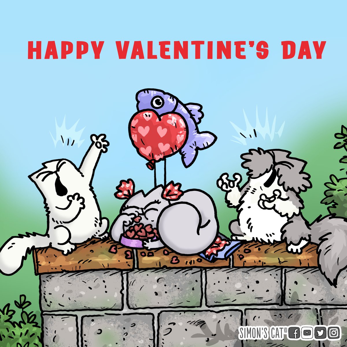 Happy #ValentinesDay cat lovers! ❤️😻