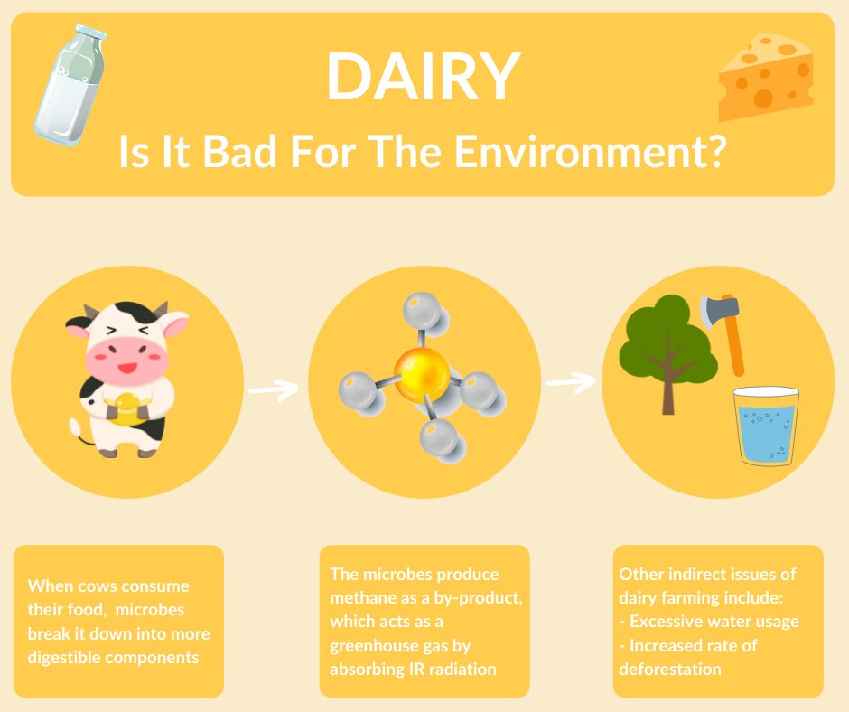 PictureItChem's tweet photo. Did you see the first post in our series about how things we keep in the house are having an impact on the environment? This post discusses the chemistry behind how extensive dairy production is contributing to climate change. 
https://t.co/1DaL8rDAE7 https://t.co/yPO3mfA9S4
