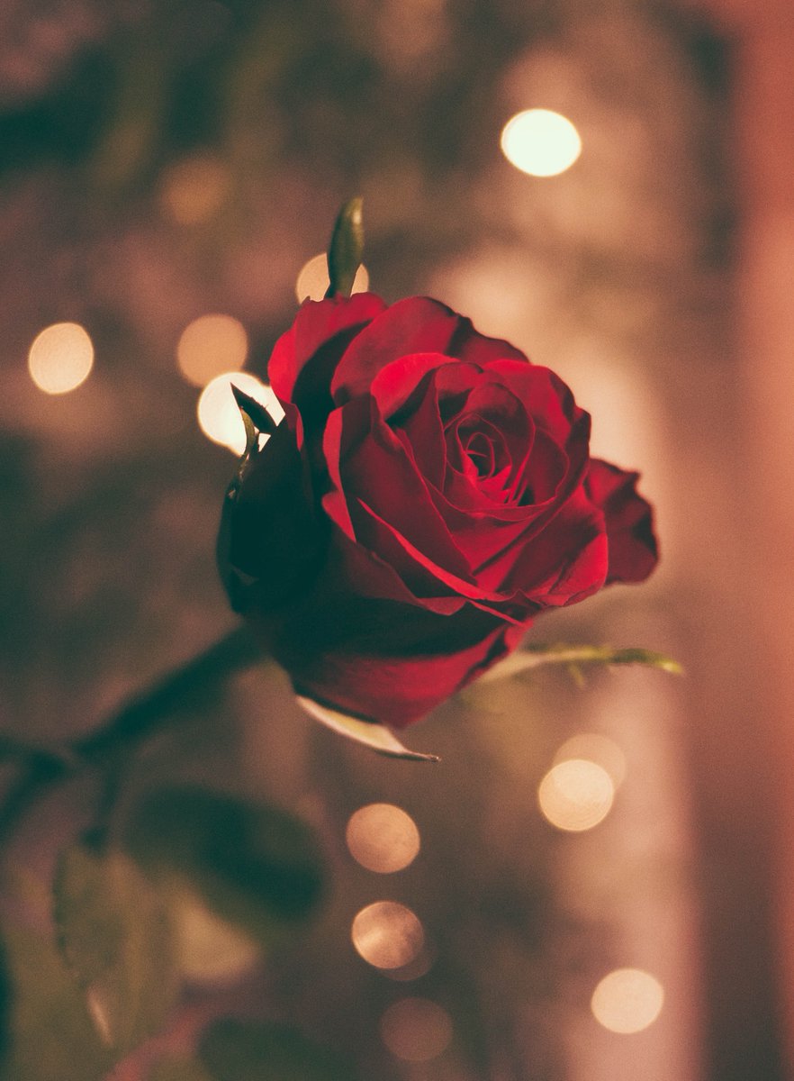 Happy Valentine's Day to all of our supporters, changing people's lives for the better, forever with their commitment to fundraising!
#closetothecauses #eventprofslive #meetingprofs #getinvolved #giveback #fundraisingevents #valentinesday2022 
Photo by Jamie Street on Unsplash