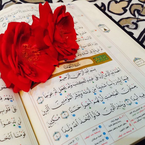 WithMuhamad's tweet photo. """صفة الصلاة

استقبال القبلة وتكبيرة الإحرام🌼🌸🌼
- يقف من أراد الصلاة مستقبلاً القبلة، مستشعرًا وقوفه بين يدي الله تعالى، خاشعًا في صلاته.

اقرا المزيد
https://t.co/2BpwihWQ5U https://t.co/1ALYhF6guk
