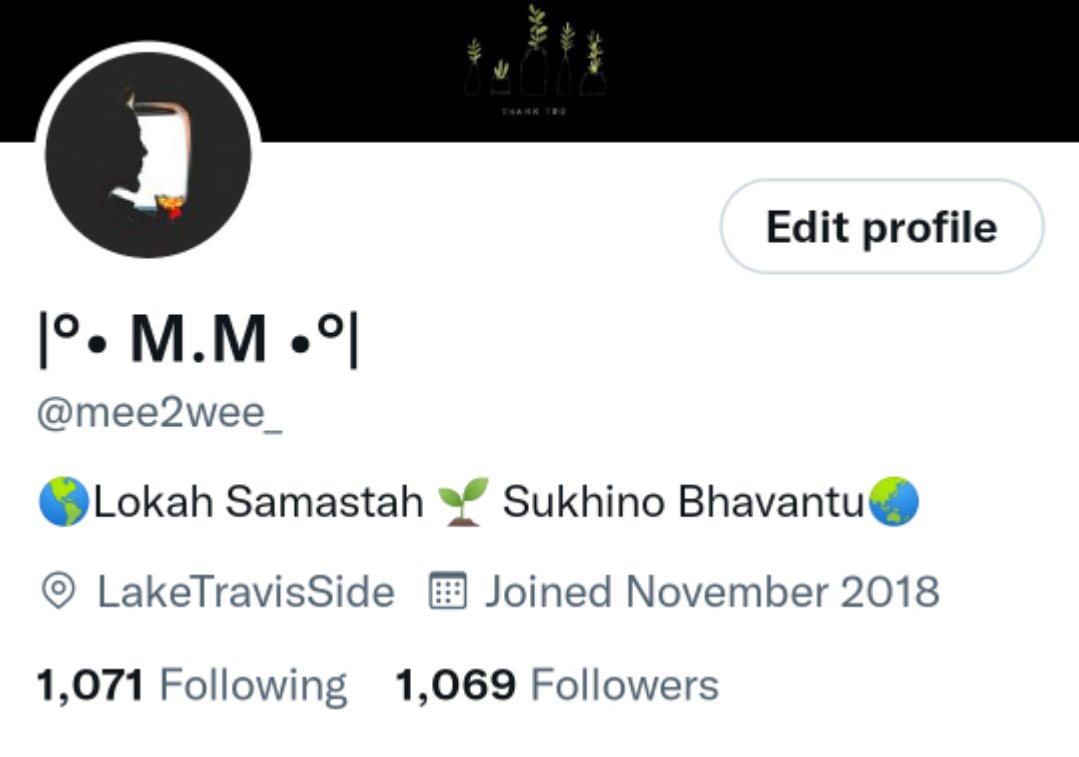 M 🕸️ M tweet media