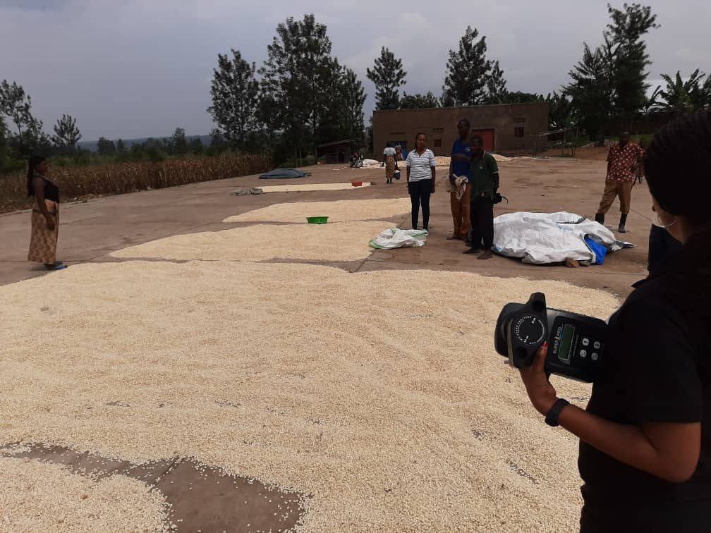 AflaKiosk (@aflakiosk) on Twitter photo Last week, our team was at Nyagatare for three days. We sampled and tested the maize from different farmers and connected them to premium markets at <a href="/MinimexK/">MINIMEX Ltd Kigali</a> , Prodev, and AIF, where they can sell their grain. Last week, our team was at Nyagatare for three days. We sampled and tested the maize from different farmers and connected them to premium markets at <a href="/MinimexK/">MINIMEX Ltd Kigali</a> , Prodev, and AIF, where they can sell their grain.