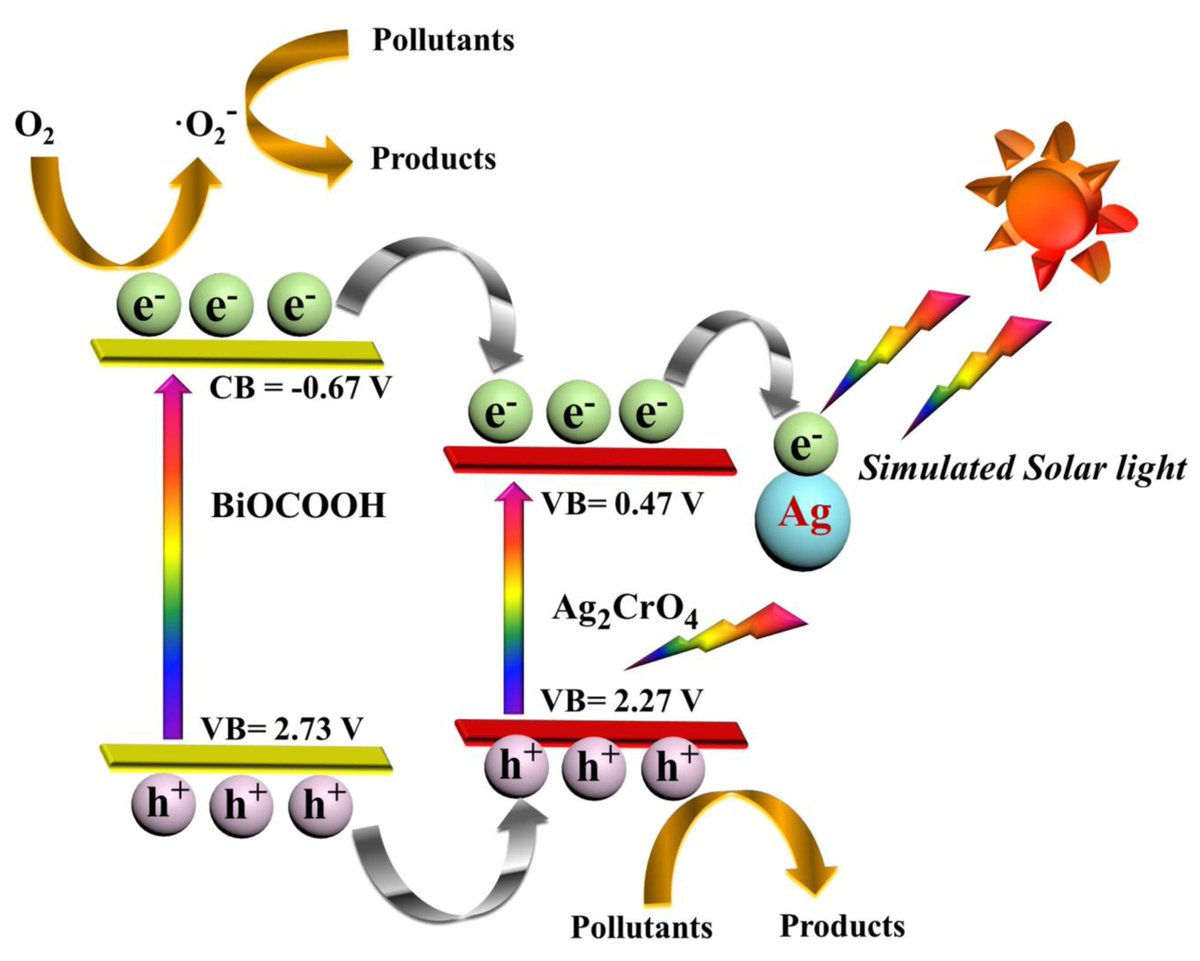 Catalysts_MDPI's tweet photo. #HighlyCited

BiOCOOH #Microflowers Decorated with #Ag/Ag2CrO4 #Nanoparticles as Highly Efficient #Photocatalyst for the Treatment of Toxic #wastewater 

📝 by Shijie Li, Bing Xue, Jialin Chen, et al. from Zhejiang Ocean University

👉https://t.co/fMmGQ4ImSW https://t.co/aUmiQzSC7A